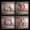 Cobalance Commercial Dry Aging Meat refrigerator